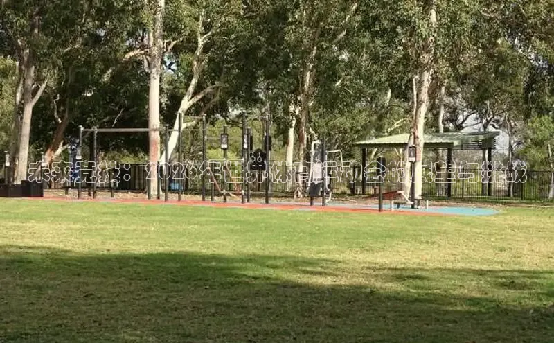 飞速体育app