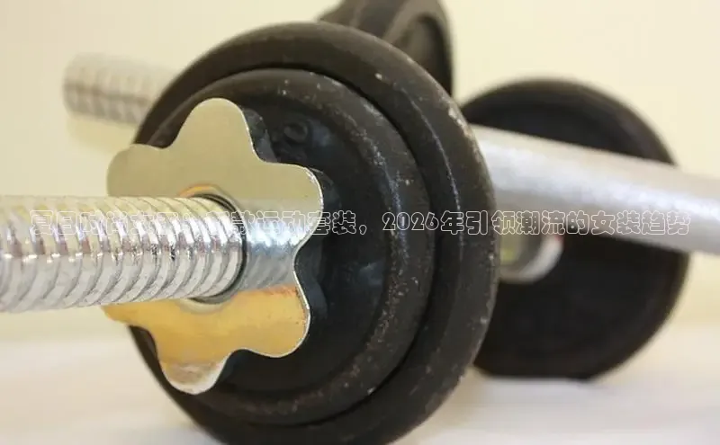 飞速直播体育